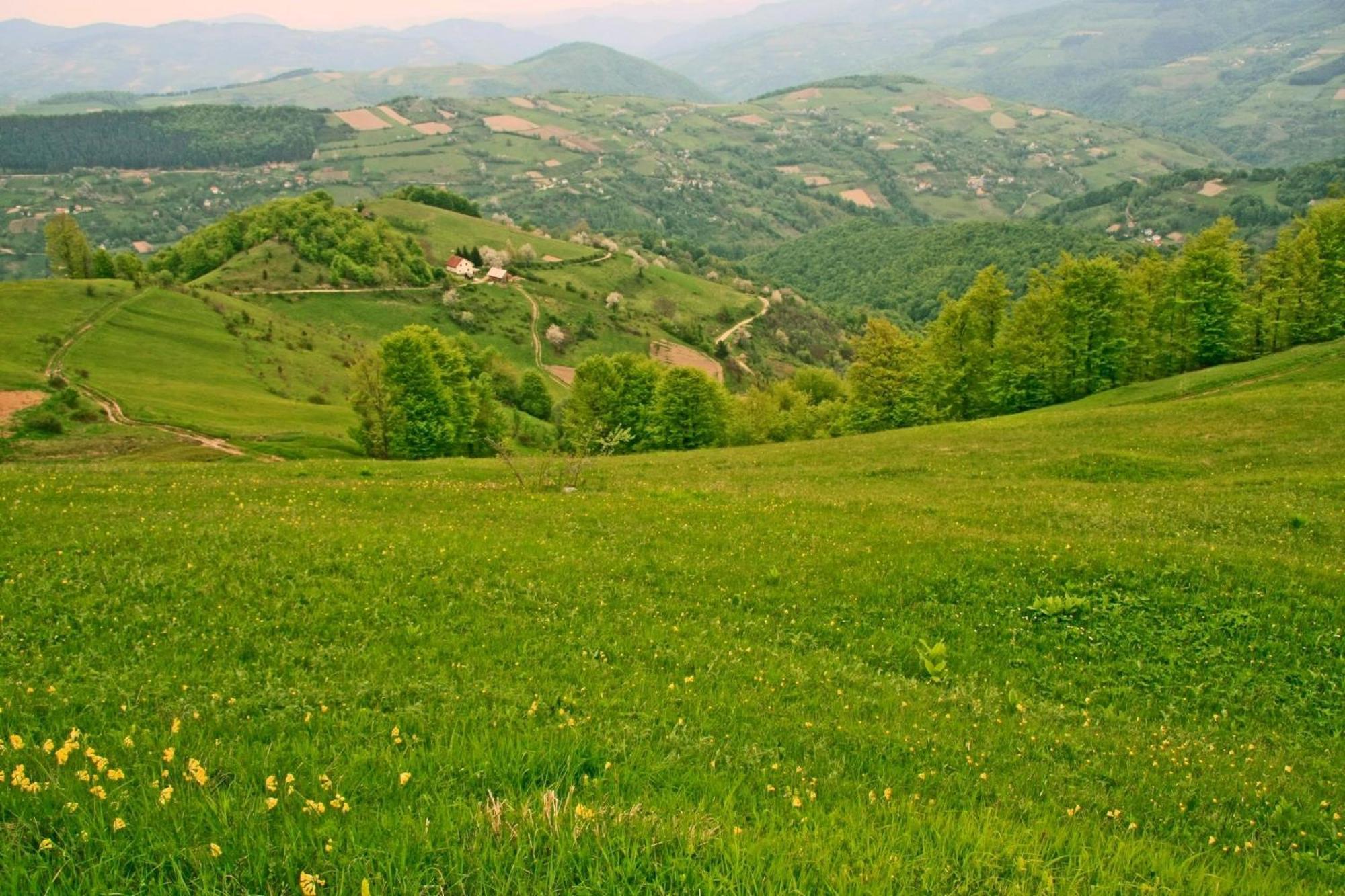 Hotel Javor Kušići Екстериор снимка